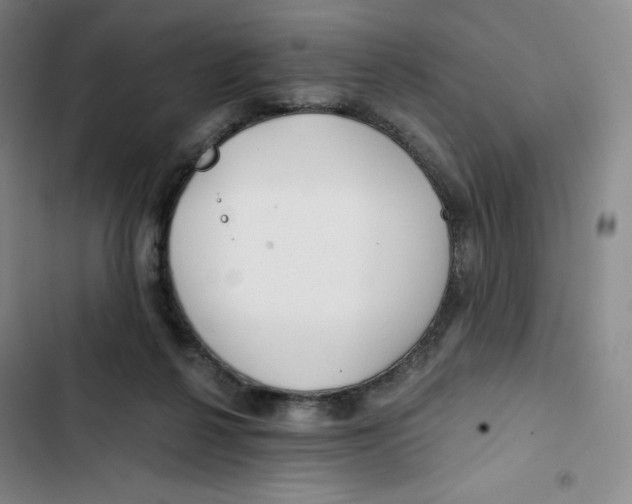 X0000102820264200809151022