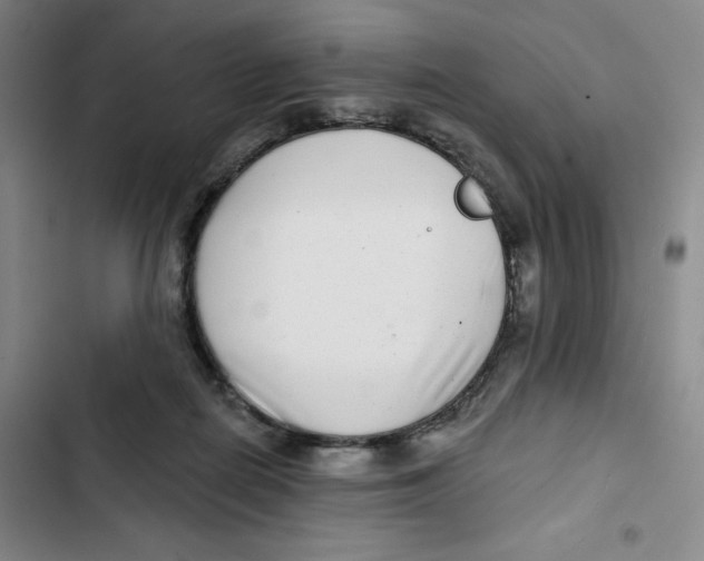 X0000102820266200809151022