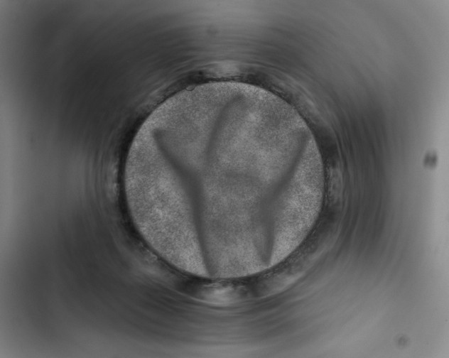 X0000102820267200809151022