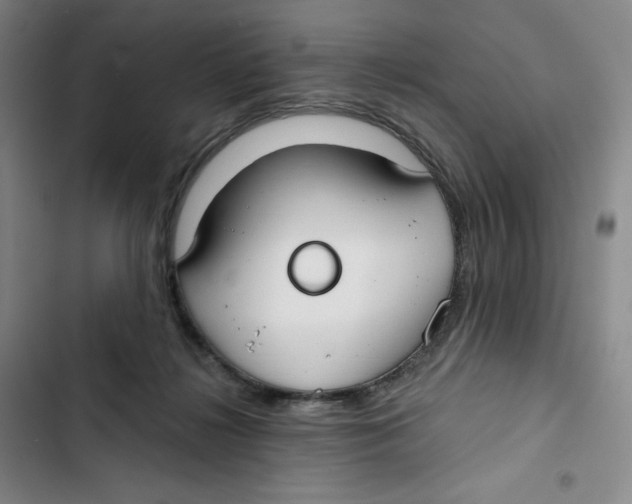 X0000102820268200809151022