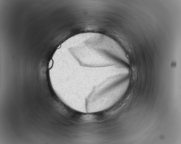 X0000102820269200809151022