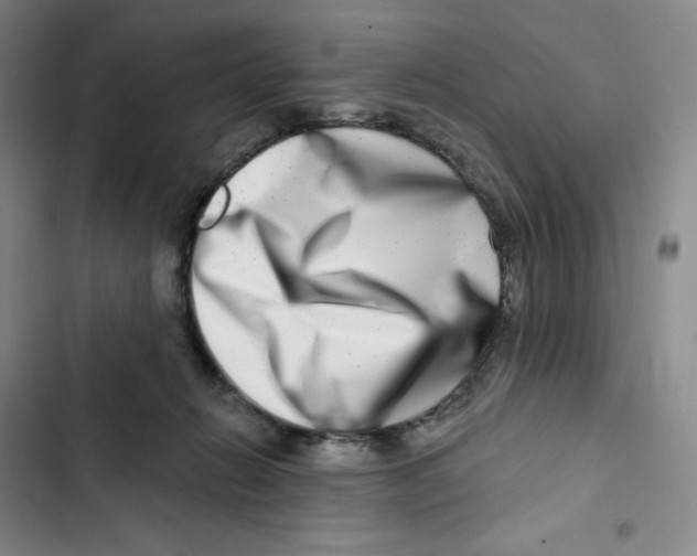 X0000102820270200809151022