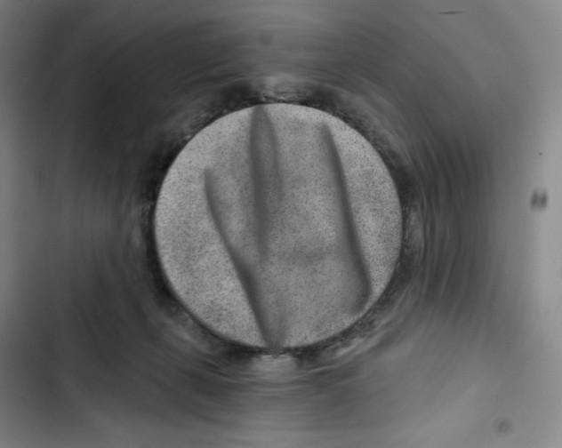 X0000102820271200809151022