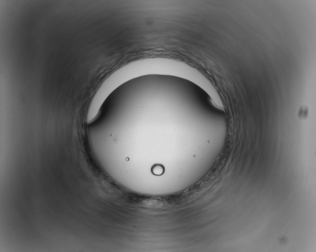 X0000102820272200809151022