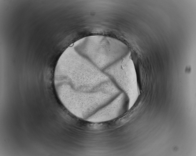 X0000102820273200809151022