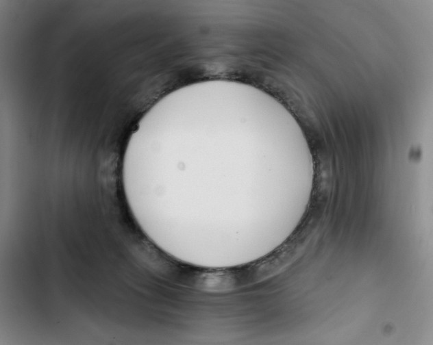 X0000102820275200809151022