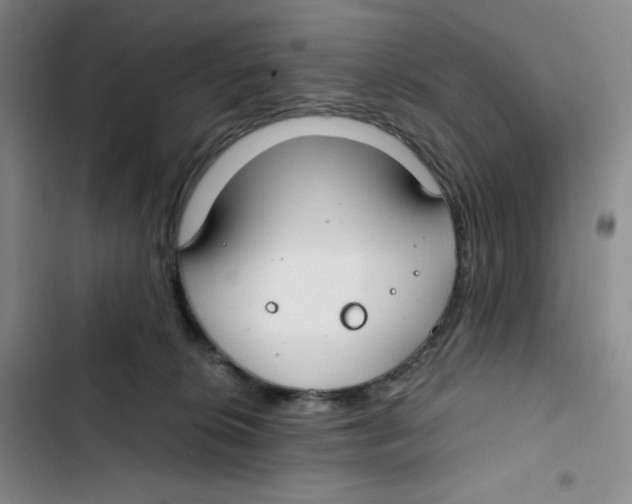 X0000102820276200809151022