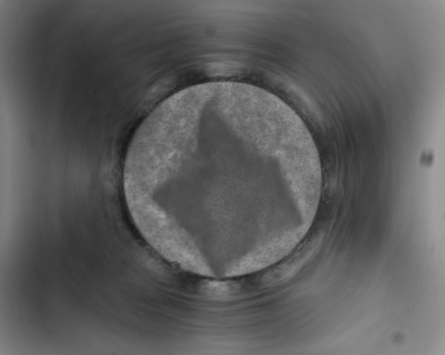 X0000102820277200809151022