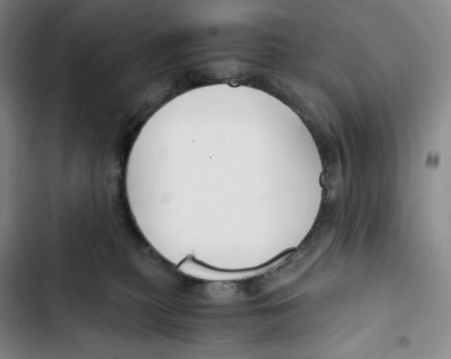 X0000102820279200809151022