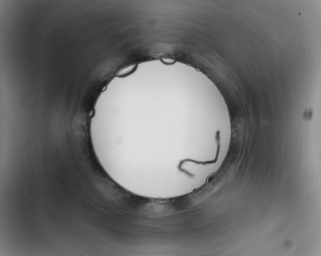 X0000102820280200809151022