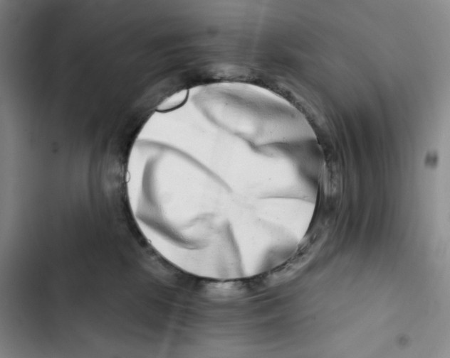 X0000102820281200809151022