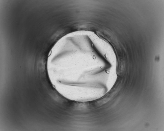 X0000102820282200809151022