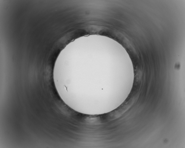 X0000102820283200809151022