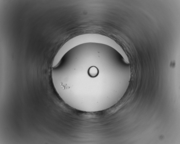 X0000102820284200809151022