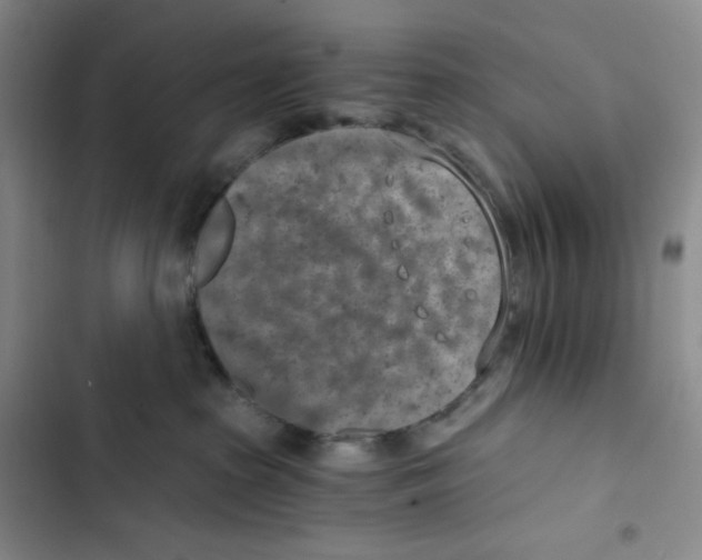 X0000102820285200809151022