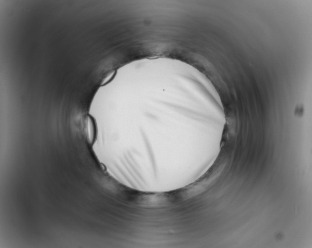 X0000102820286200809151022