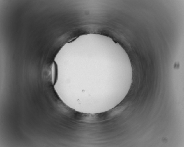 X0000102820288200809151022