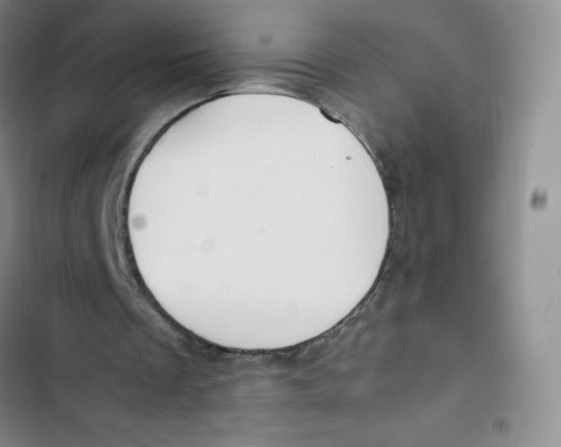 X0000102820289200809151022