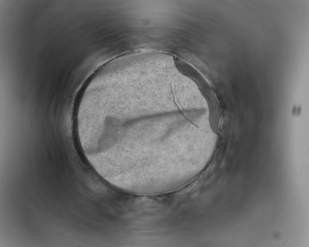 X0000102820290200809151022