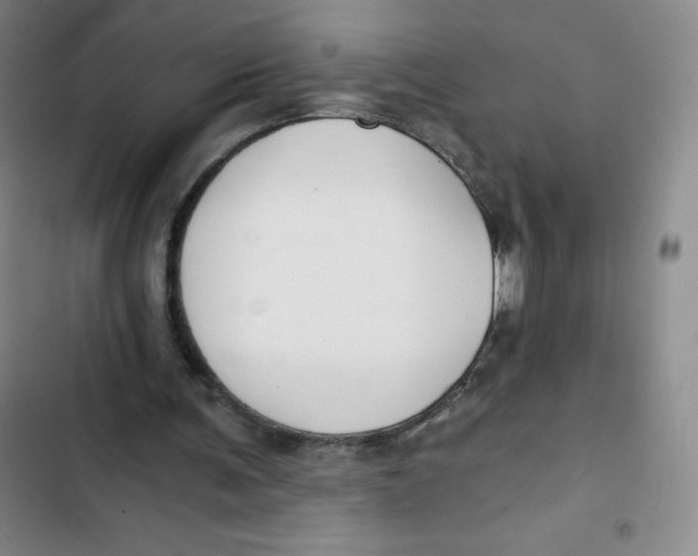 X0000102820291200809151022