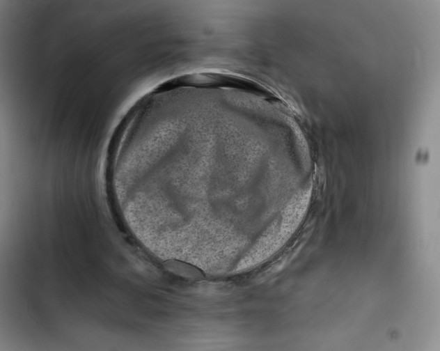 X0000102820292200809151022