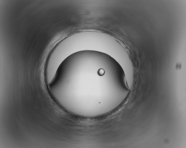 X0000102820293200809151022