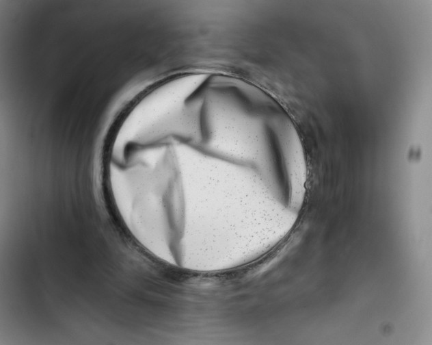X0000102820294200809151022