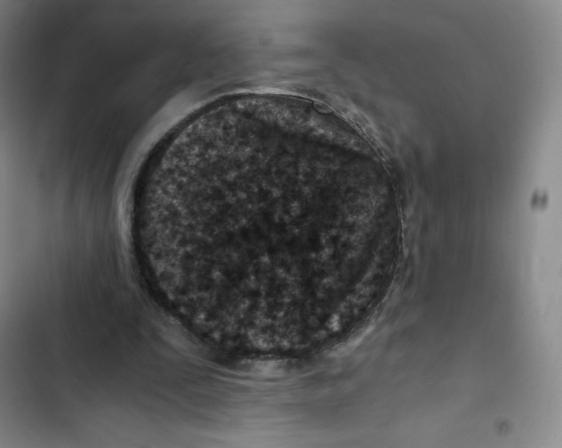 X0000102820295200809151022