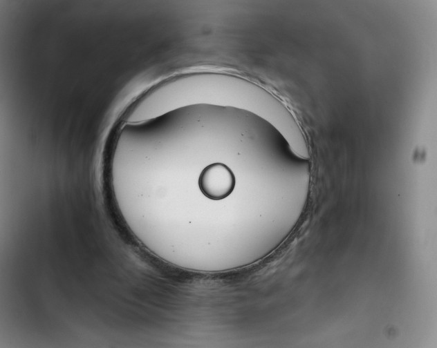 X0000102820296200809151022