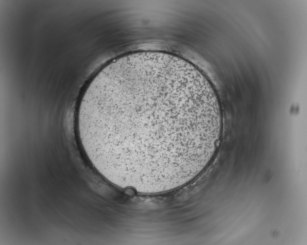 X0000102820297200809151022