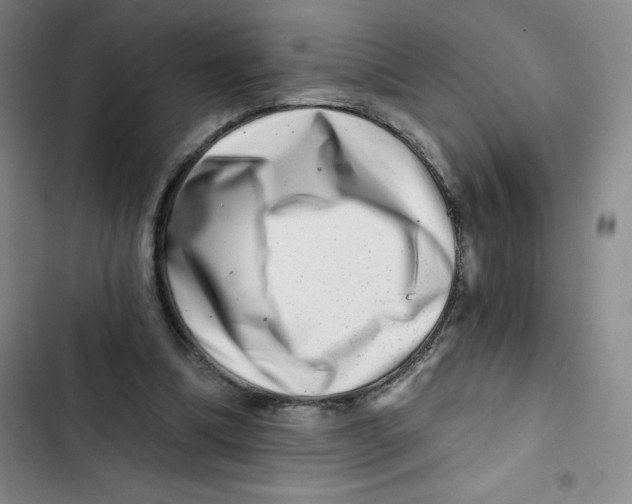 X0000102820298200809151022