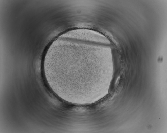 X0000102820299200809151022