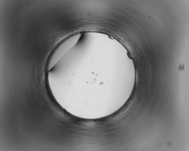 X0000102820301200809151022