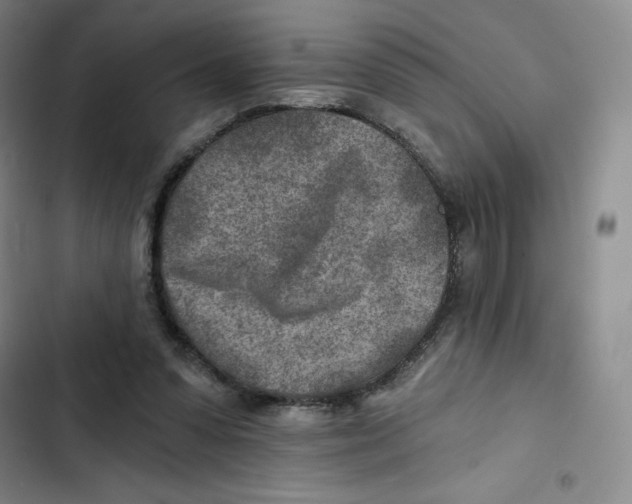 X0000102820303200809151022
