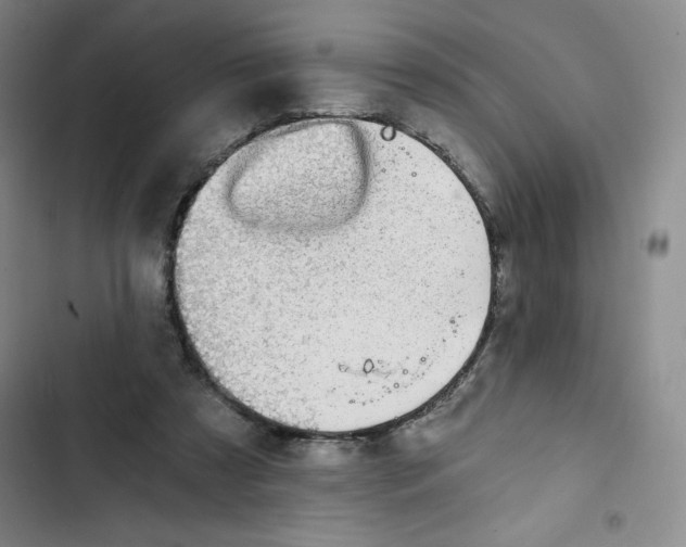 X0000102820305200809151022