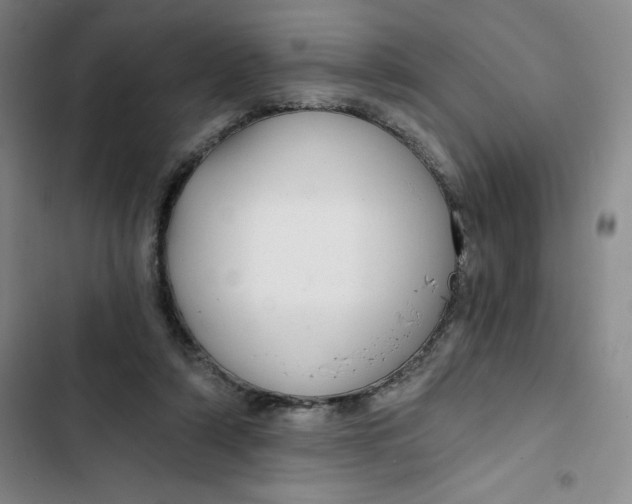 X0000102820306200809151022