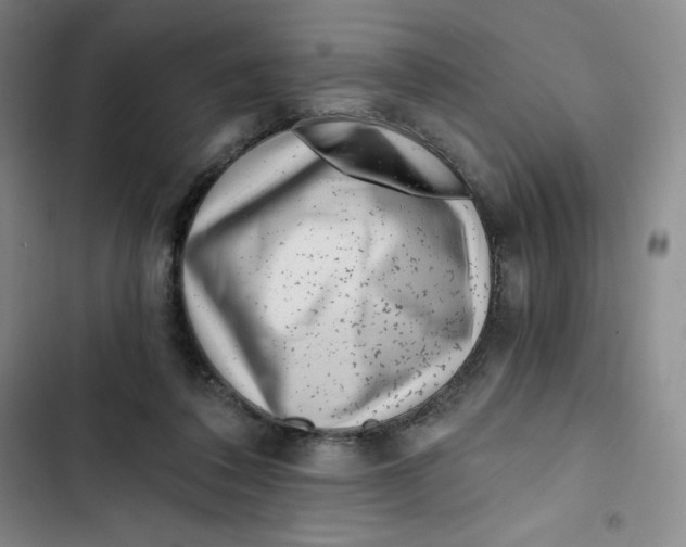 X0000102820308200809151022
