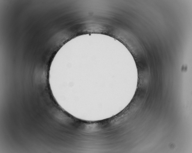 X0000102820309200809151022