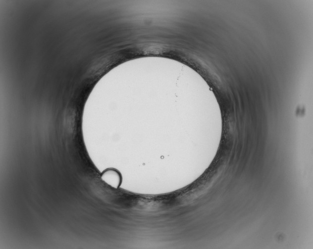 X0000102820311200809151022