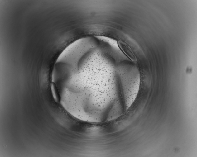 X0000102820312200809151022