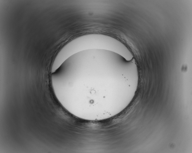 X0000102820313200809151021