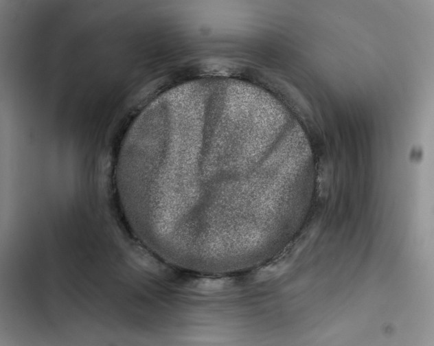 X0000102820314200809151021