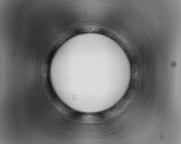 X0000102820315200809151021