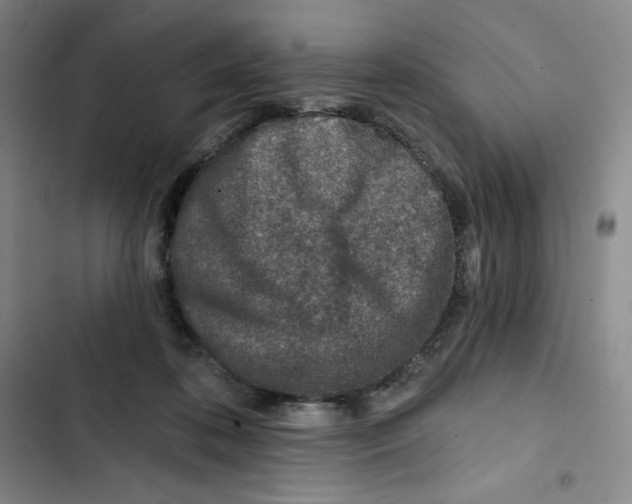 X0000102820316200809151021