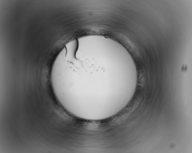 X0000102820318200809151021