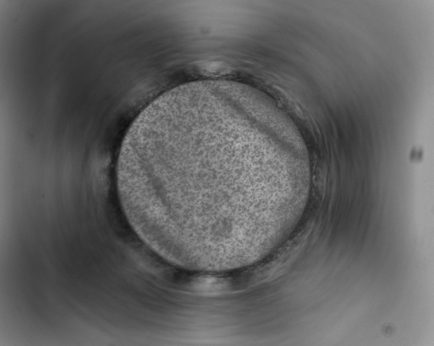 X0000102820319200809151021