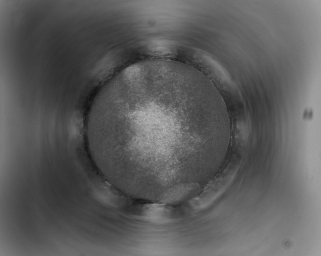 X0000102820320200809151021