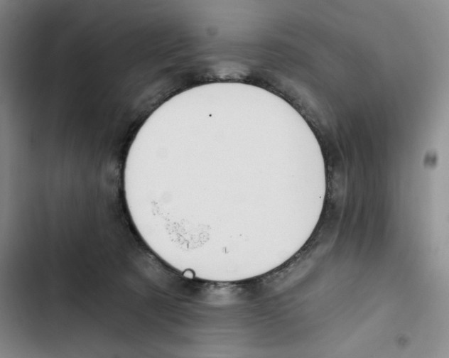 X0000102820321200809151021