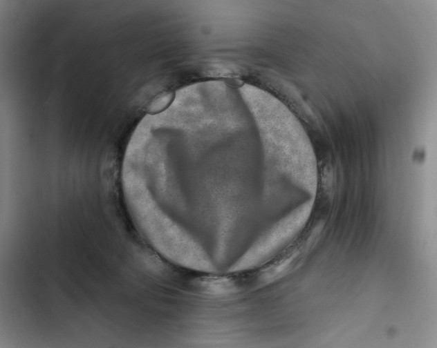 X0000102820322200809151021