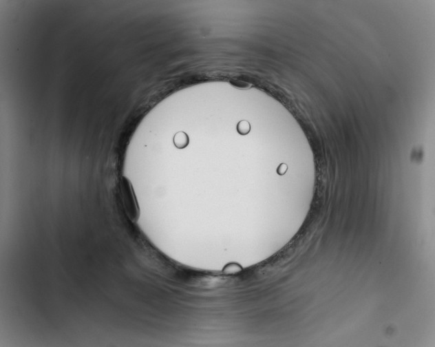 X0000102820323200809151021